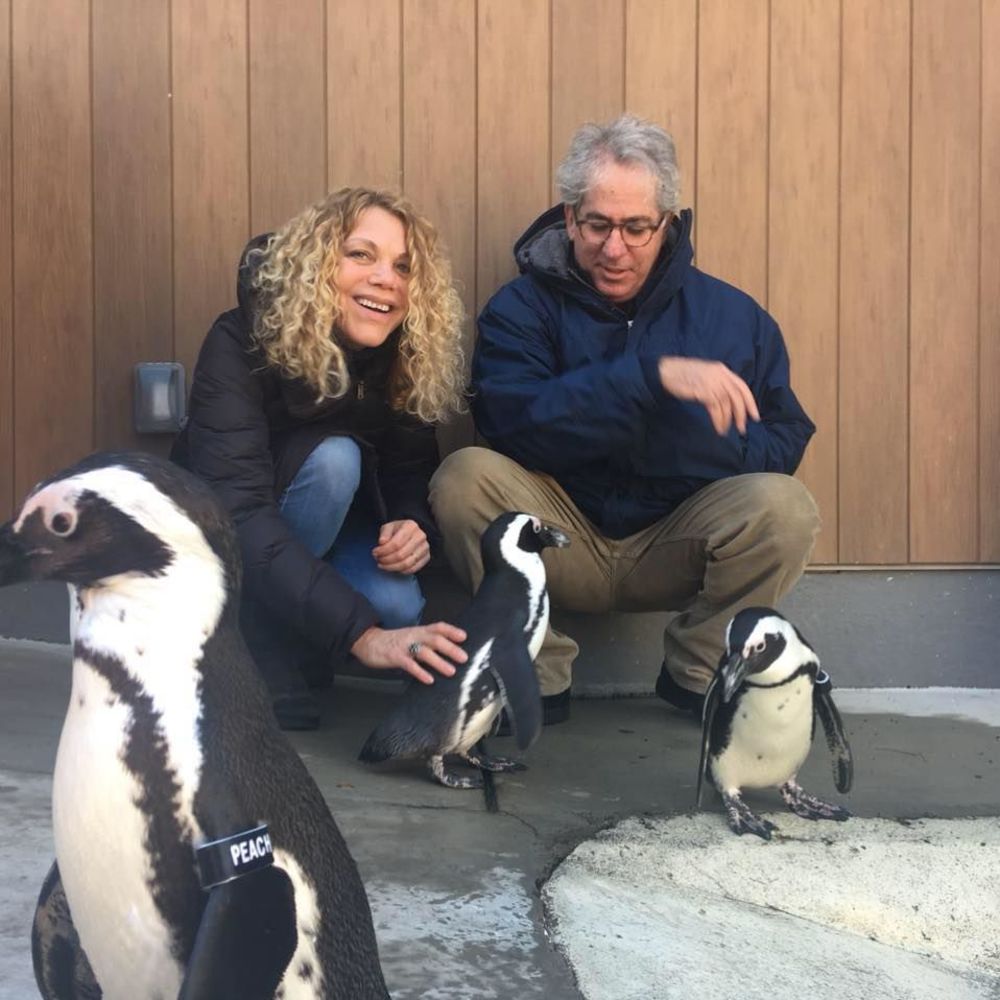 Meet your Posher, Wendy